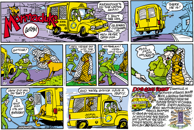marmaduke